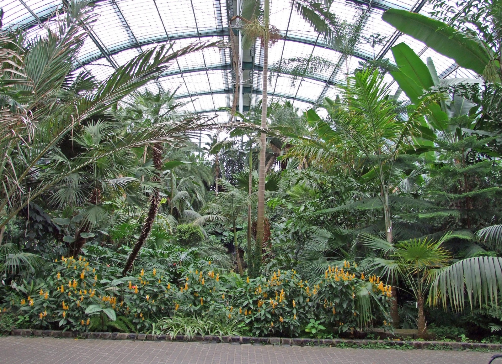 Palmengarten – das Palmenhaus
